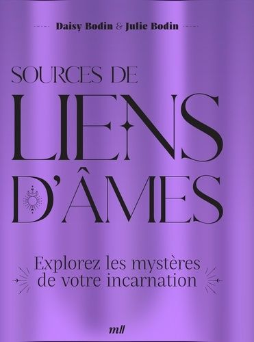 Emprunter Sources de liens d'âmes. Explorez les mystères de votre incarnation livre