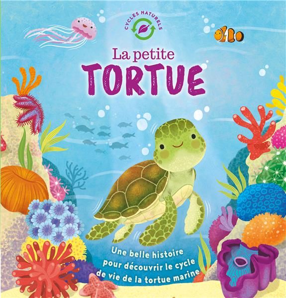 Emprunter La petite tortue livre