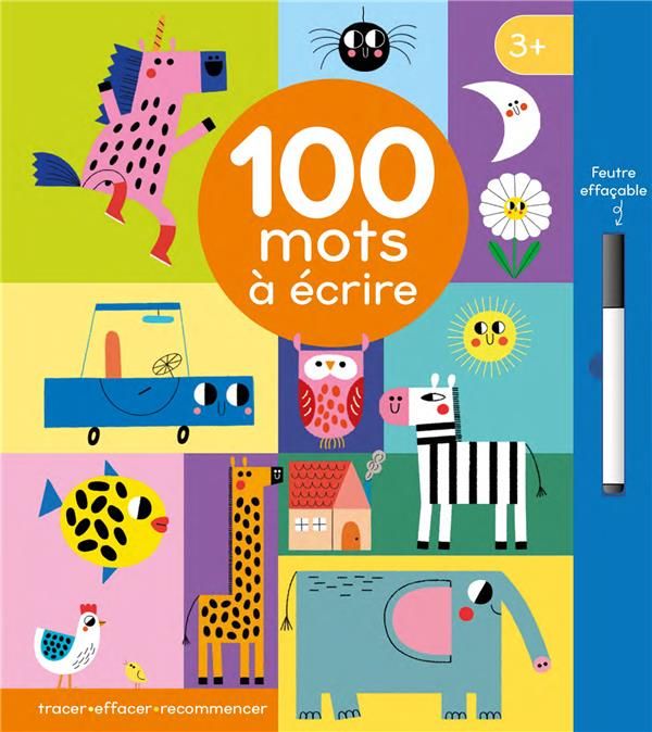 Emprunter 100 mots à écrire. Avec 1 feutre effaçable livre