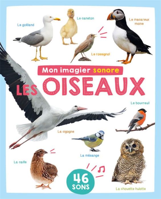 Emprunter Les oiseaux. 46 sons livre