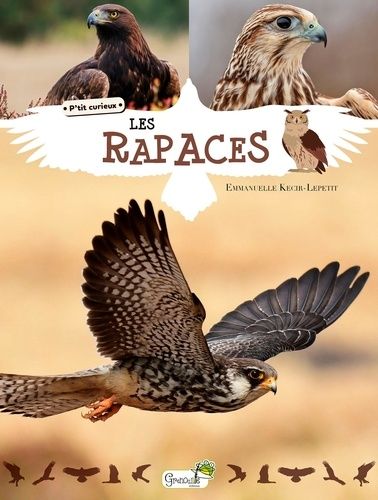 Emprunter Les rapaces livre