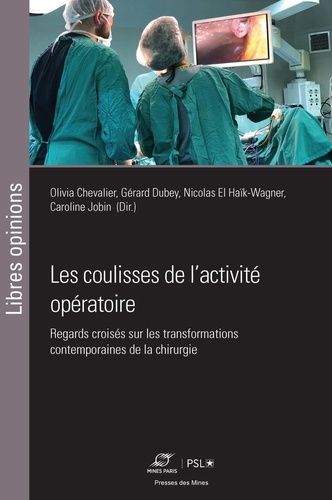 Emprunter Les coulisses de l'activité opératoire. Regards croisés sur les transformations contemporaines de la livre