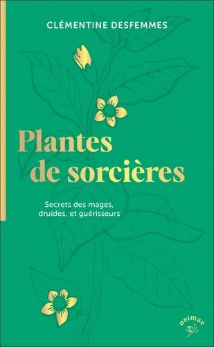 Emprunter Plantes de sorcières. Secrets des mages, druides, et guérisseurs livre