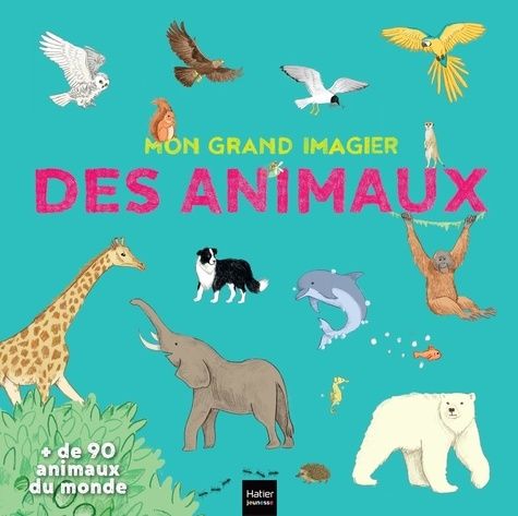 Emprunter Mon grand imagier des animaux livre