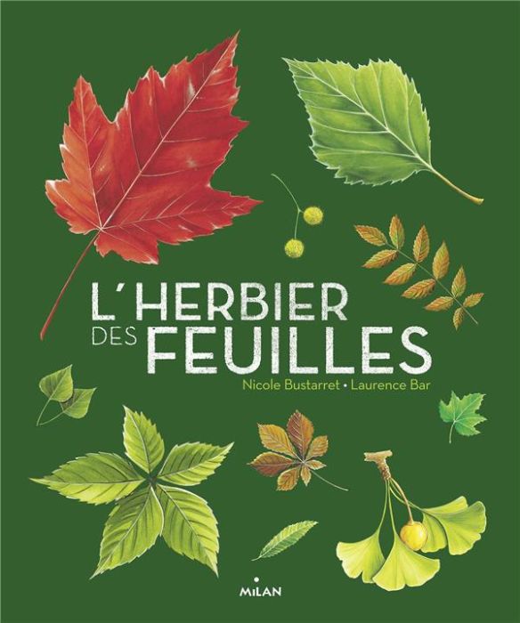 Emprunter L'herbier des feuilles livre