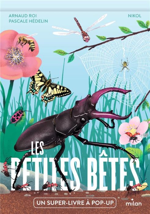 Emprunter Les petites bêtes. Un super-livre à pop-up livre