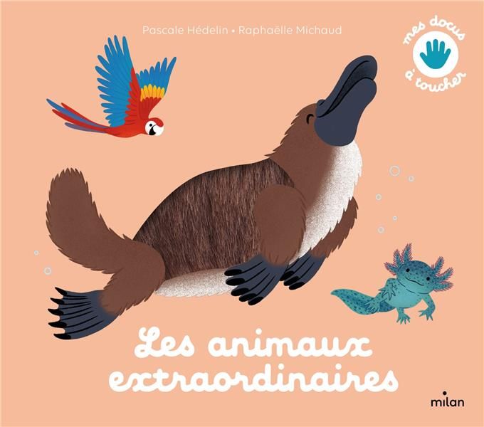 Emprunter Les animaux extraordinaires livre