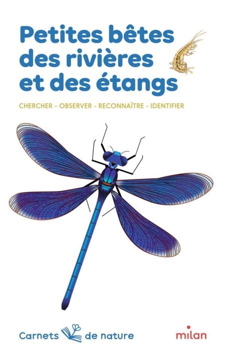 Emprunter Petites bêtes des rivières et des étangs. Chercher, observer, reconnaître, identifier livre