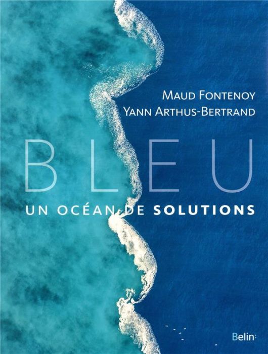 Emprunter Bleu. Un océan de solutions livre