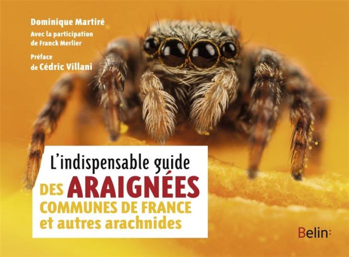 Emprunter L'indispensable guide des araignées communes de France et autres arachnides livre