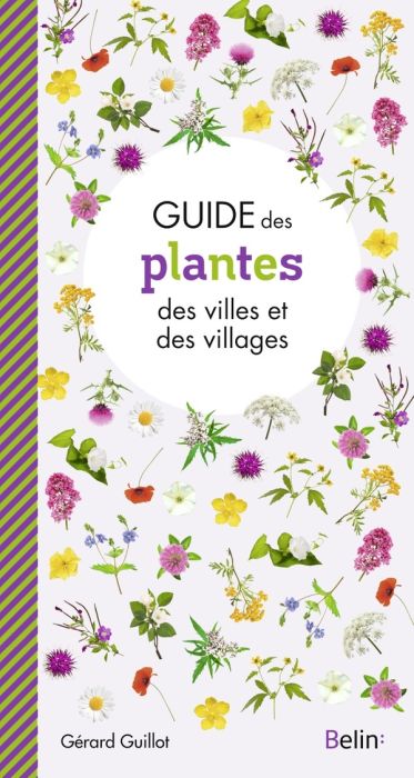 Emprunter Guide des plantes des villes et villages livre