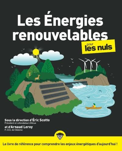 Emprunter Les énergies renouvelables pour les nuls livre