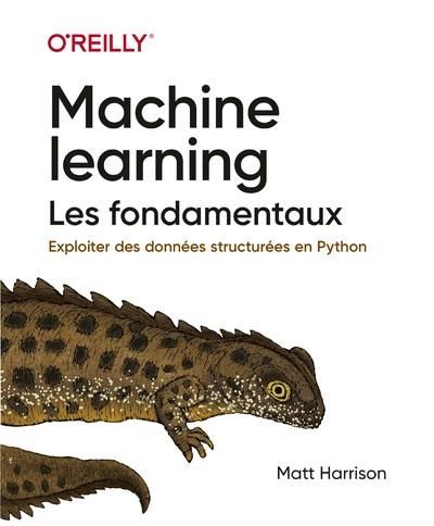 Emprunter Machine learning : les fondamentaux livre