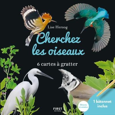 Emprunter Cherchez les oiseaux. 6 cartes à gratter et 1 bâtonnet inclus livre