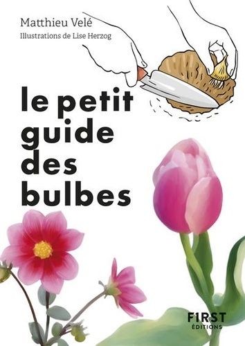 Emprunter Le petit guide jardin des bulbes livre