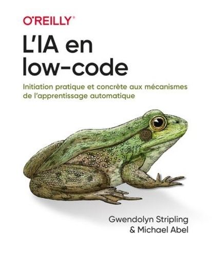 Emprunter L'IA en low-code livre