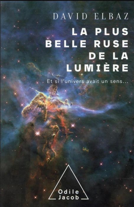 Emprunter La plus belle ruse de la lumière. Et si l'univers avait un sens livre