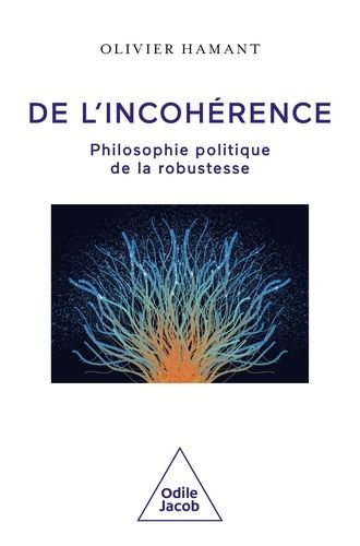 Emprunter De l'incohérence. Philosophie politique de la robustesse livre