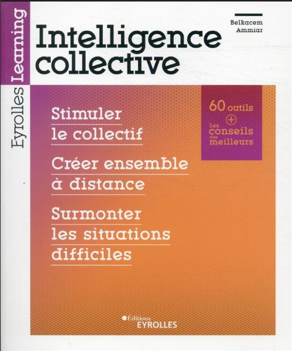 Emprunter Intelligence collective : stimuler le collectif, créer ensemble à distance, surmonter les situations livre