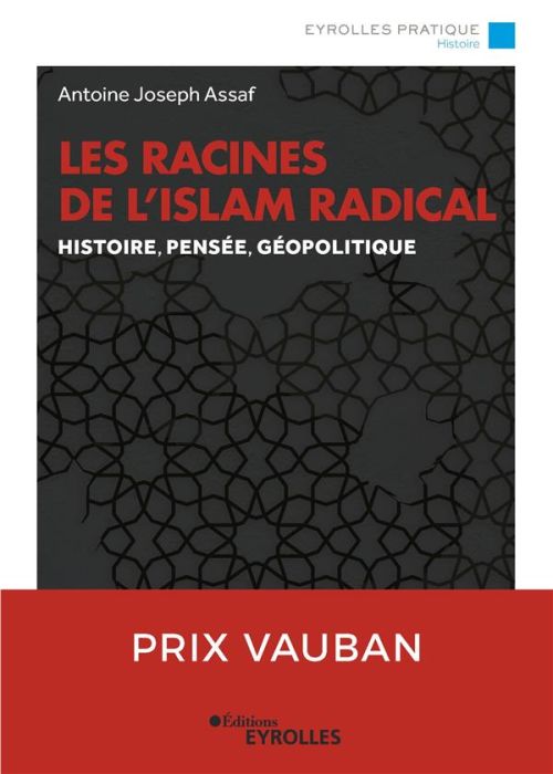 Emprunter Les racines de l'Islam radical. Histoire, pensée, géopolitique livre