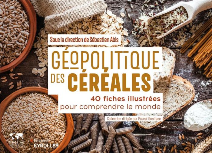 Emprunter Géopolitique des céréales. 40 fiches illustrées pour comprendre le monde livre