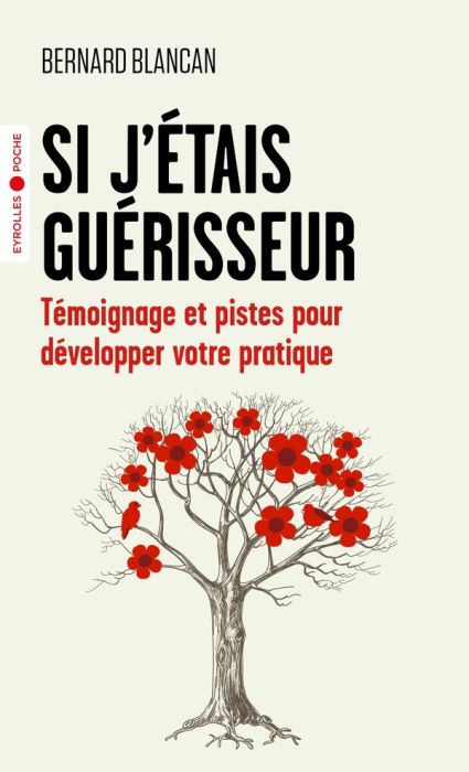 Emprunter Si j'étais guérisseur. Témoignage et pistes pour développer votre pratique livre