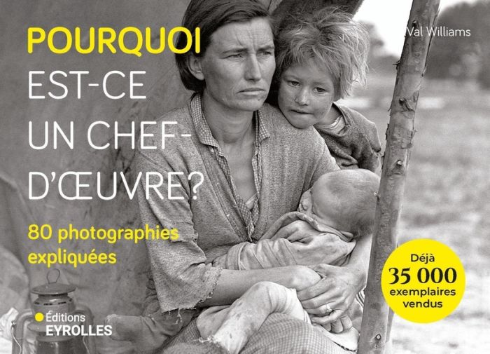 Emprunter Pourquoi est-ce un chef-d'oeuvre ? 80 photographies expliquées livre