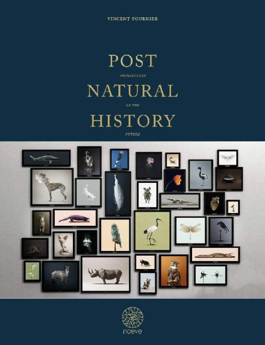 Emprunter POST NATURAL HISTORY (ED. STANDARD) livre