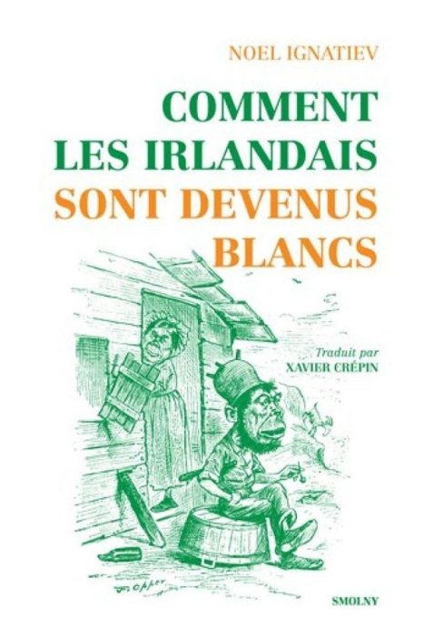 Emprunter Comment les Irlandais sont devenus Blancs livre