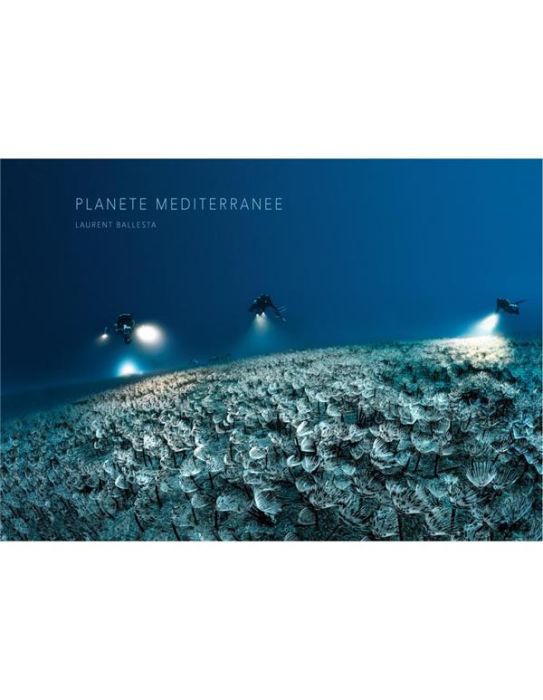 Emprunter Planète Méditerranée. Edition bilingue français-anglais livre