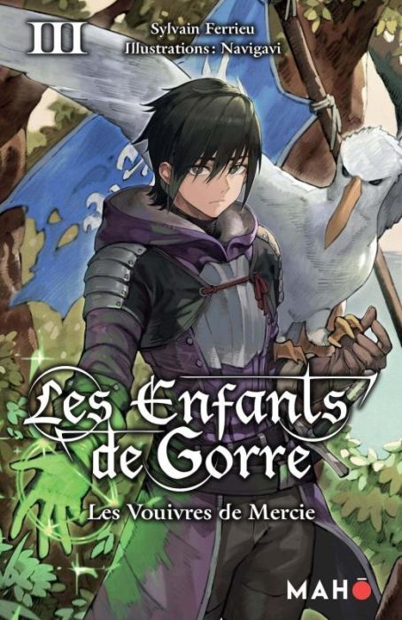 Emprunter Les enfants de Gorre Tome 3 : Les vouivres de Mercie livre