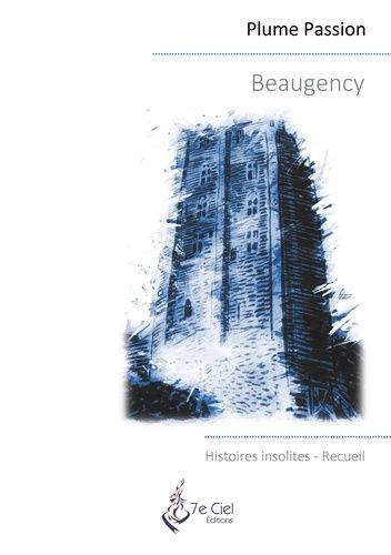 Emprunter Beaugency. Histoires insolites livre