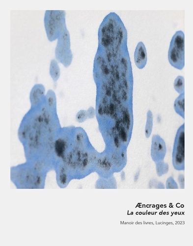 Emprunter Aencrages & Co. La couleur des yeux, Edition livre