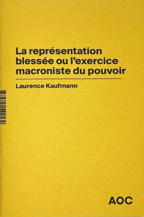 Emprunter La représentation blessée ou l’exercice macroniste du pouvoir livre