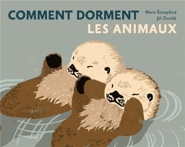 Emprunter Comment dorment les animaux livre