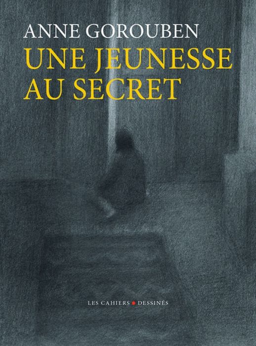 Emprunter Une jeunesse au secret livre