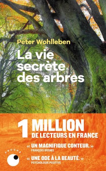 Emprunter La vie secrète des arbres. Ce qu'ils ressentent, comment ils communiquent, un monde inconnu s'offre livre