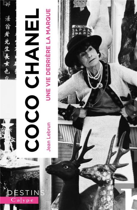 Emprunter Coco Chanel. Une vie derrière la marque livre