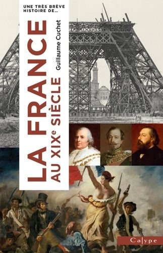 Emprunter La France au XIXe siècle. L'onde de choc de la Révolution livre