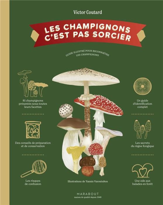 Emprunter Les champignons c'est pas sorcier livre