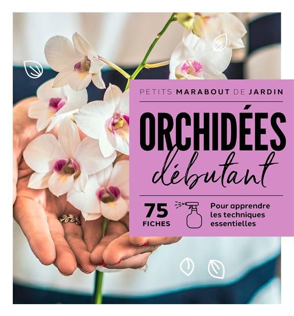 Emprunter Orchidées débutant livre