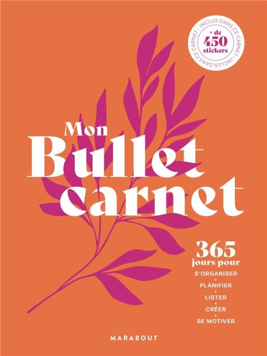 Emprunter Mon Bullet carnet. Avec plus de 100 stickers inclus livre