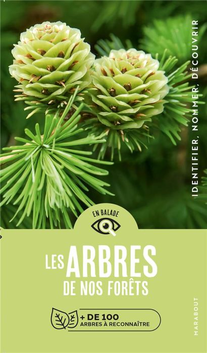 Emprunter Les arbres de nos forêts. + de 100 espèces d'arbres à reconnaître livre