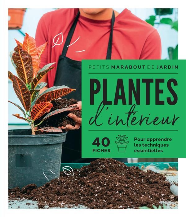 Emprunter Plantes d'intérieur livre