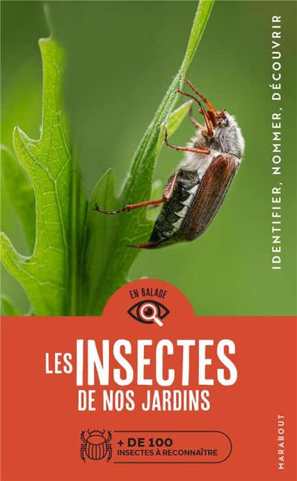 Emprunter Les insectes de nos jardins. + de 100 espèces à reconnaître livre