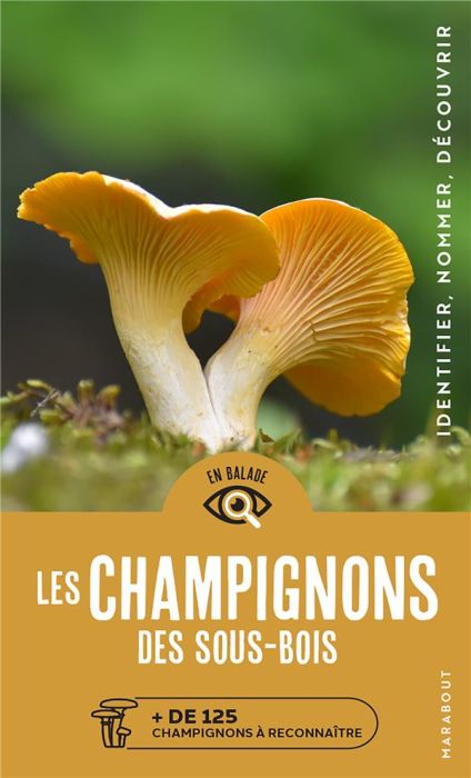 Emprunter Les champignons des sous bois. + de 125 champignons à reconnaître livre