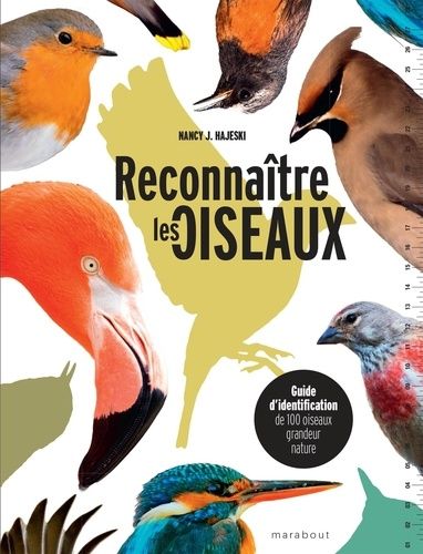 Emprunter Reconnaître les oiseaux. Guide d'identification de 100 oiseaux grandeur nature livre