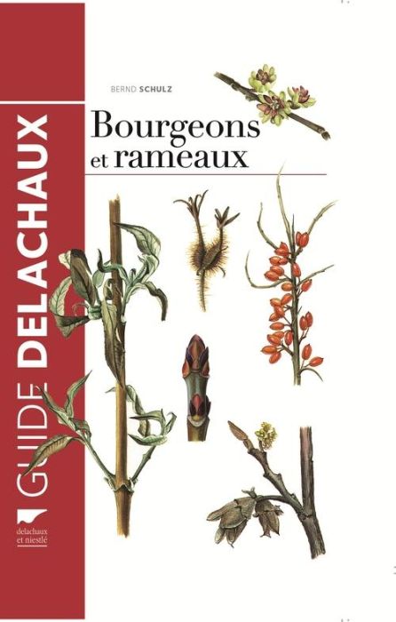 Emprunter Bourgeons et rameaux livre