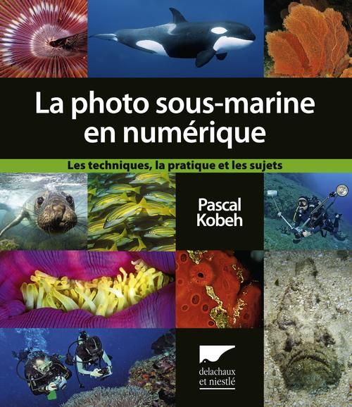 Emprunter La photographie sous-marine en numérique. Les techniques, la pratique, et les sujets livre