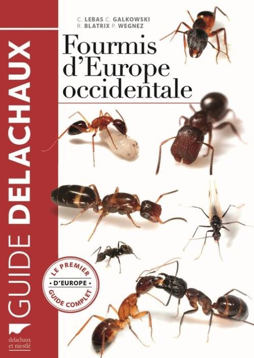 Emprunter Fourmis d'Europe occidentale livre